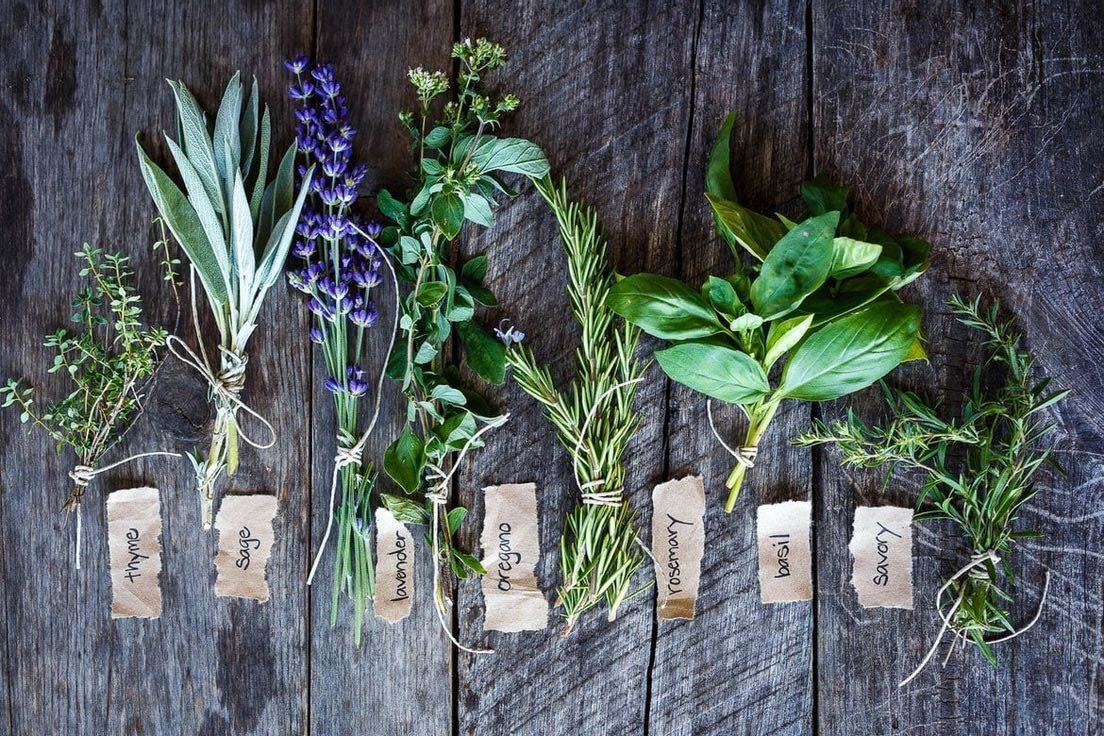 |Our HerbGarden|